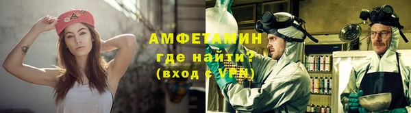 гидра Арсеньев