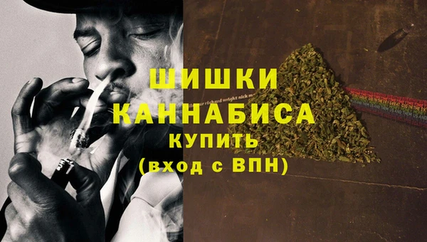 гидра Арсеньев
