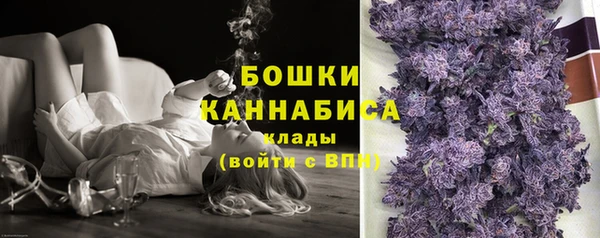 гидра Арсеньев