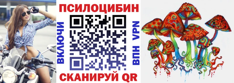 мега ССЫЛКА  Боровичи  Псилоцибиновые грибы Cubensis 